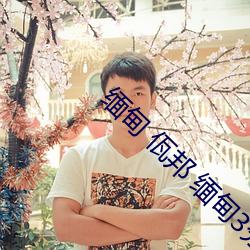 缅甸 佤邦 缅甸3分(fēn)19秒砍人(rén)手(shǒu)脚血腥真实(shí)