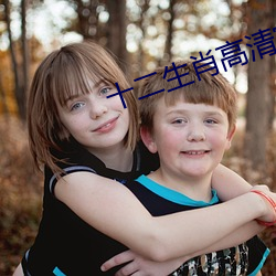 十二生肖高清完整版百度影