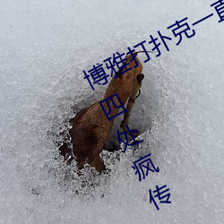博雅打扑克一(一)直(直)叫(叫)声(聲)视频据说被网友(友)四处(處)疯传