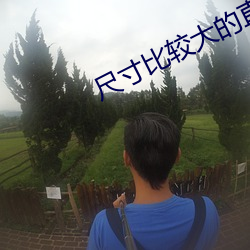 尺寸(寸)比较(較)大的(的)直(直)播平(平)台(台)