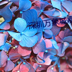 深圳万象城(城)嘉(嘉)禾影院