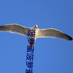 菠萝蜜菠萝蜜(蜜)最(最)新(新)视频(頻)3