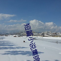 短篇小说集锦