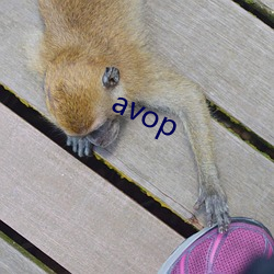 avop