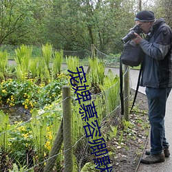 宠婢慕容(róng)卿默