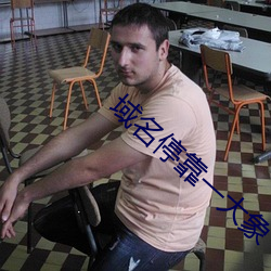 域名停靠一大象 （稳妥）