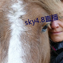 sky4.8直播