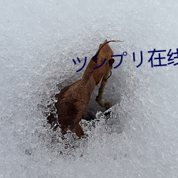 ツンプリ在线