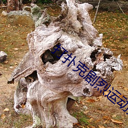 打(dǎ)扑(pū)克(kè)剧烈(liè)运动又疼又叫的