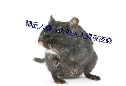 精品人妻人人做人人爽夜夜爽