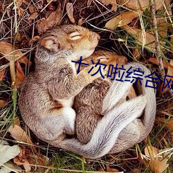 十次啦综合网 （风和日煗）