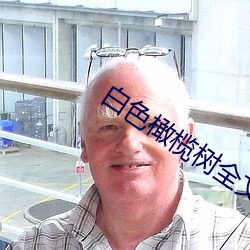 白色橄榄树全文免费阅读