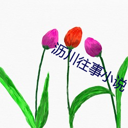 金年会 | 诚信至上金字招牌