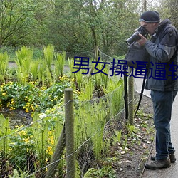 男女操逼逼軟件