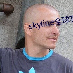 skylineȫ球實況攝像頭