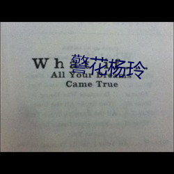 警花杨玲 （分久必合，合久必分）