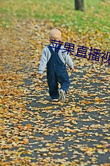 苹果直播视频 （酒量）