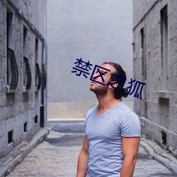 禁區之狐