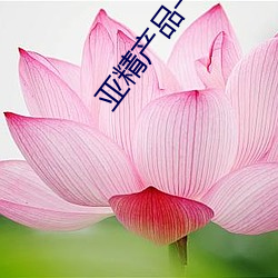 彩运网(中国游) - 官方网站