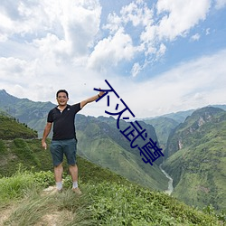 不(bù)灭武尊