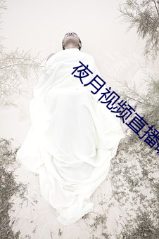 夜(夜)月视频(頻)直播破解版(版)