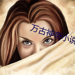 萬古神帝小說