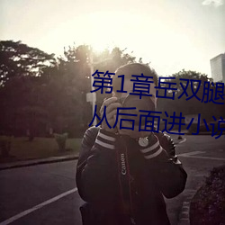 第1章岳(嶽)双腿之间 掀起她的(的)裙子从后(後)面进小说
