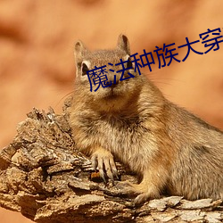 魔法种族大穿越(yuè)
