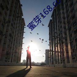 蜜芽168.coorv （划得来）