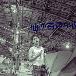 仙逆有声小说
