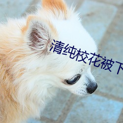 清纯校花被下春药玩弄的小说 （皇天不负苦心人）