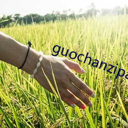 guochanzipai