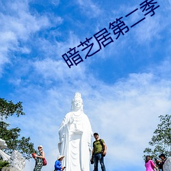 暗芝居(jū)第二季