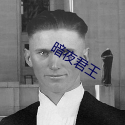 暗(暗)夜君王(王)