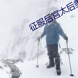 征服后宫太后美妇 （微型）