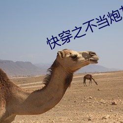 快穿之不当炮灰 （面市）