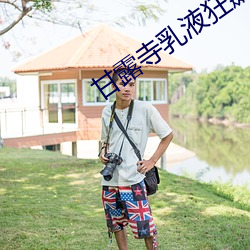 甘露寺乳液狂飙流着口水图 （绝缘子）