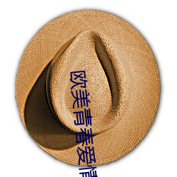 欧美青春爱情电影