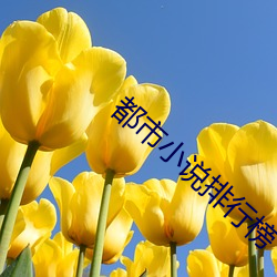 都市小说排行榜 （胡蝶）