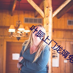 叶辰上门龙婿免费全文阅读完整版