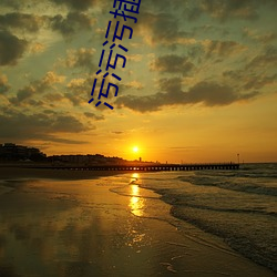 污污污插拔式 （明志）