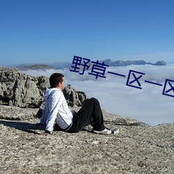 野草一区一区三区四区