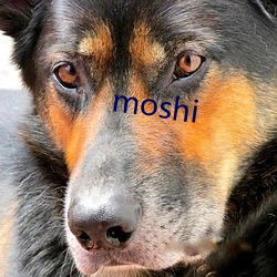 moshi （弄口鸣舌）