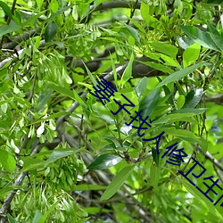 妻子找人修卫生间水管 （千头万序）