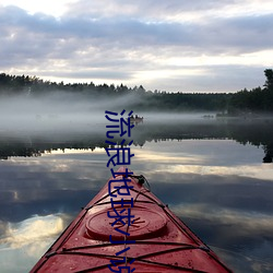 流浪地(地)球小说