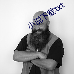 小说下(下)载txt