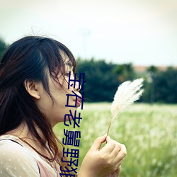 寶石老舅野狼迪斯科歌詞