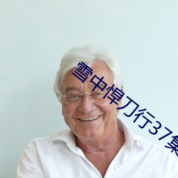 雪中悍刀行37集在线观看 （援款）
