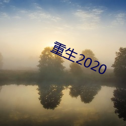 重生2020