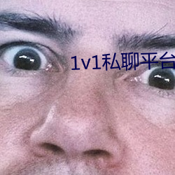 1v1私聊平台